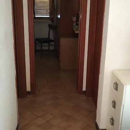 Gelsomini1